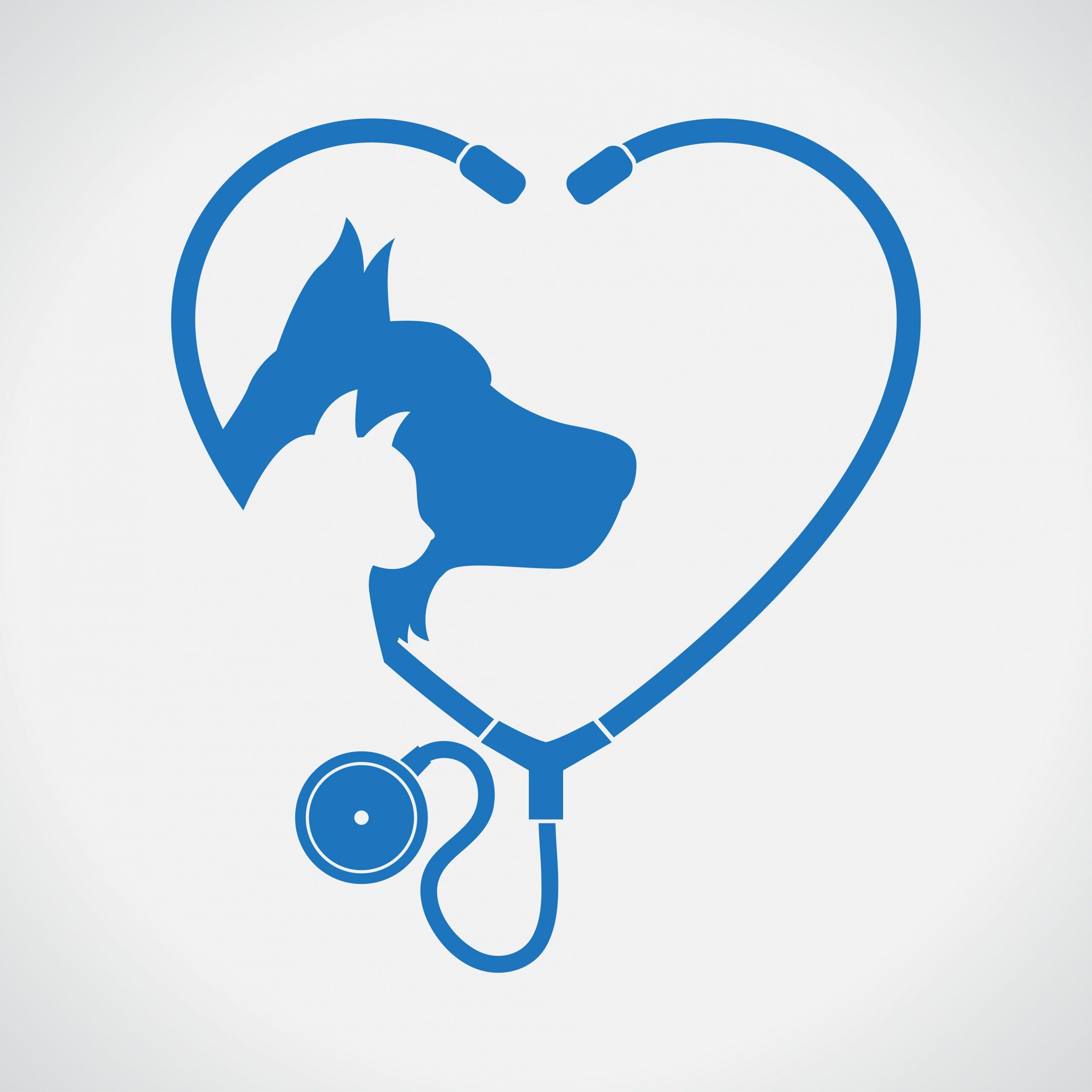<span>California Dog & Cat Hospital</span>
logo