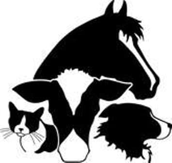 <span>Summit Veterinary Service</span>
logo