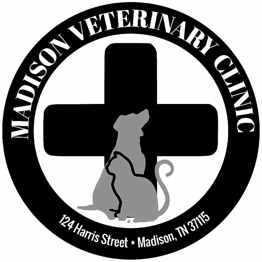 <span>Madison Veterinary Clinic</span>
logo