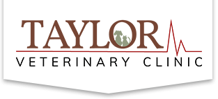 <span>Taylor Veterinary Clinic</span>
logo