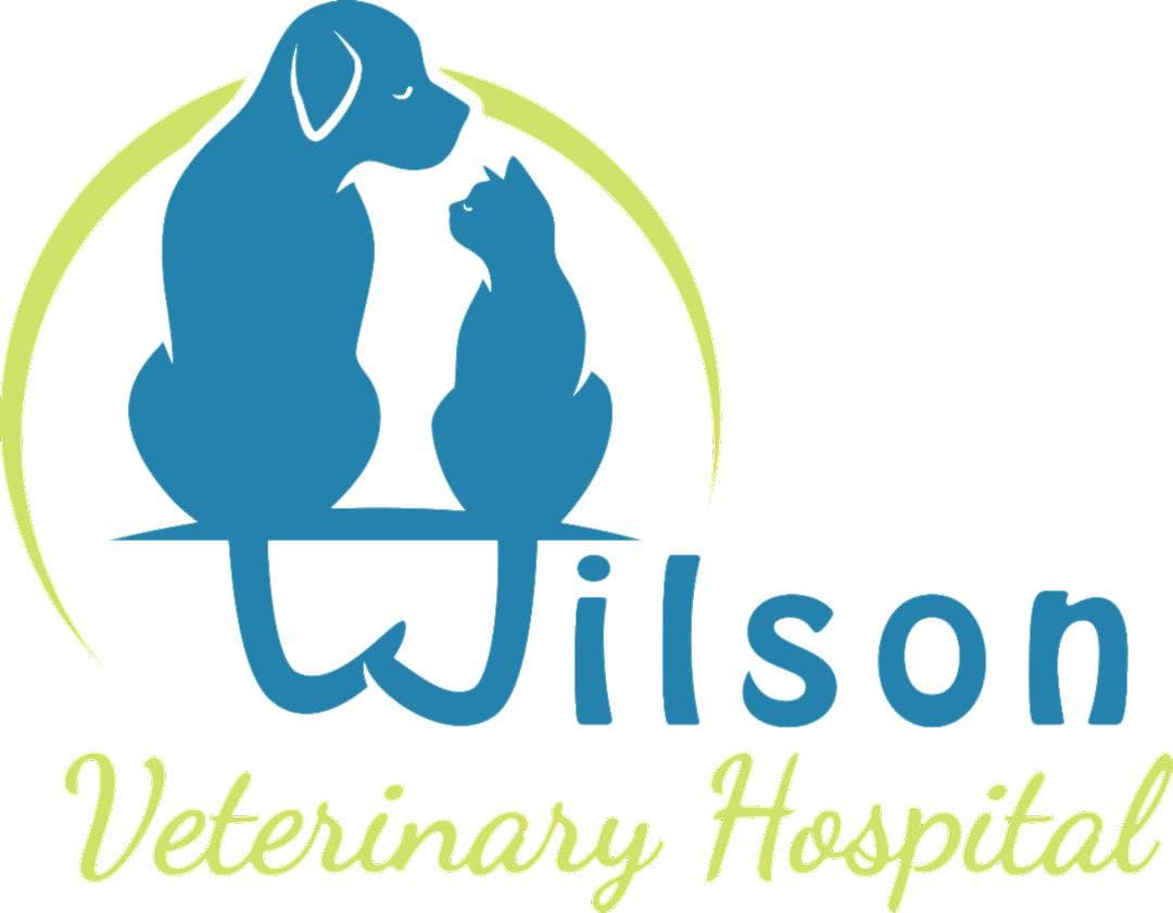 <span>Wilson Veterinary Hospital</span>
logo