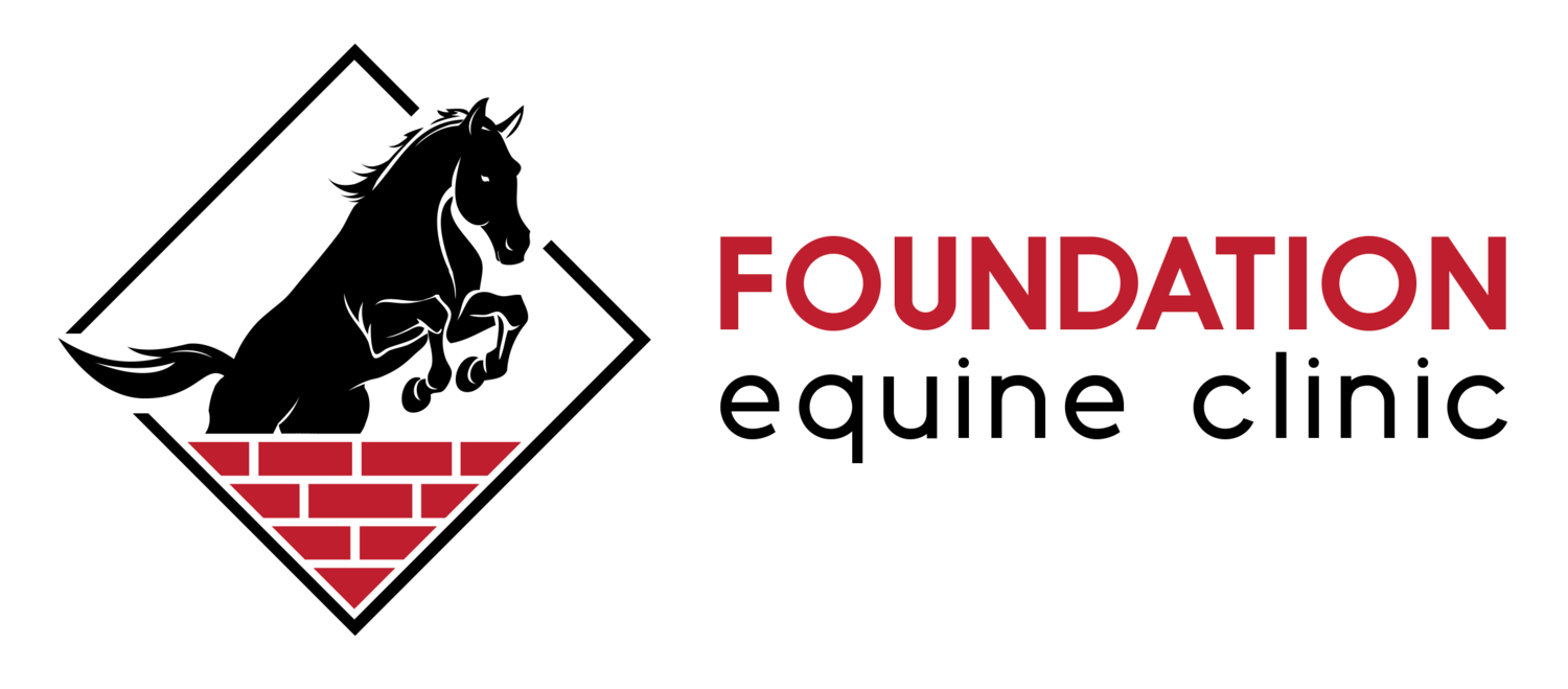 <span>Foundation Equine Clinic</span>
 logo
