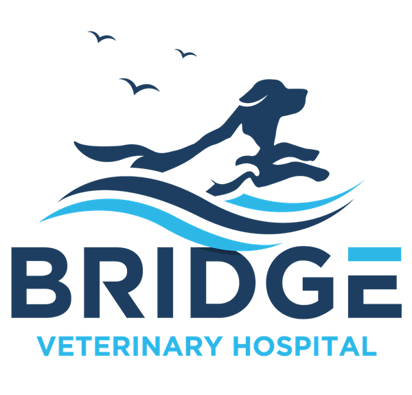 <span>Bridge Veterinary Hospital</span>
 logo