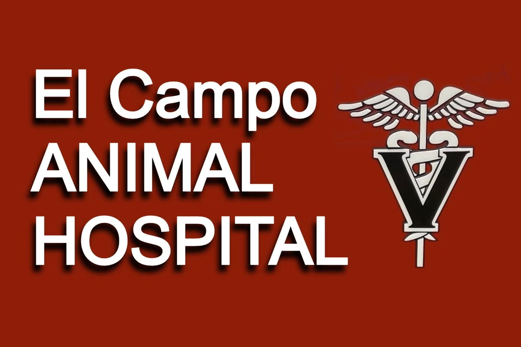 <span>El Campo Animal Hospital</span>
 logo