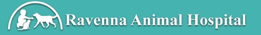 <span>Ravenna Animal Hospital</span>
 logo