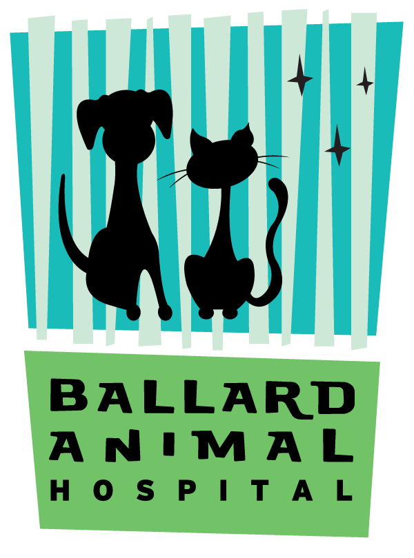 <span>Ballard Animal Hospital</span>
logo