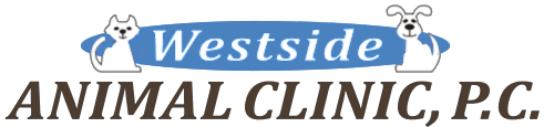 <span>Westside Animal Clinic PC</span>
logo