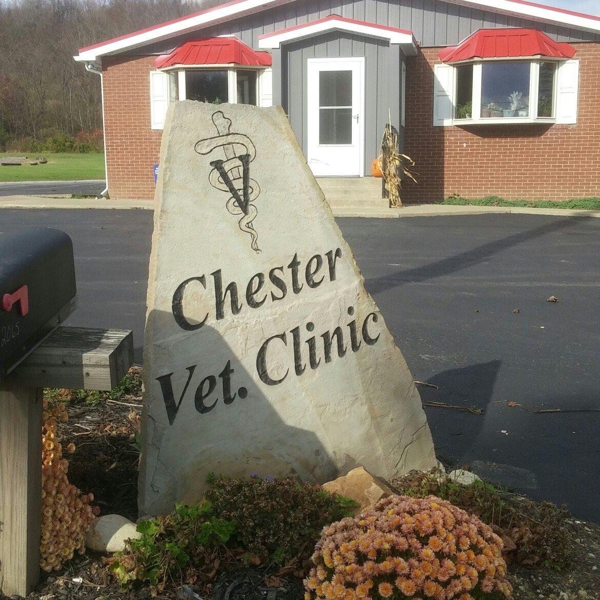 <span>Chester Veterinary Services LLC</span>
logo