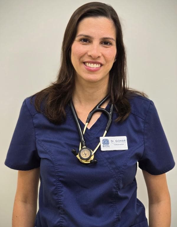 Monica Gohar DVM