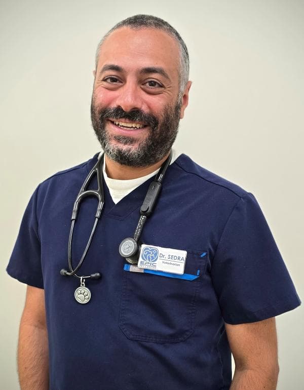 Mina Sedra DVM