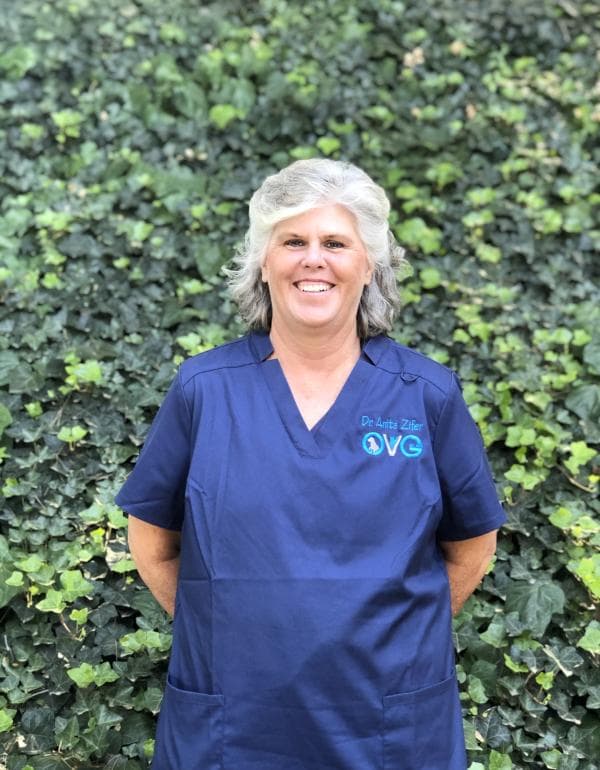 Anita Zifer DVM