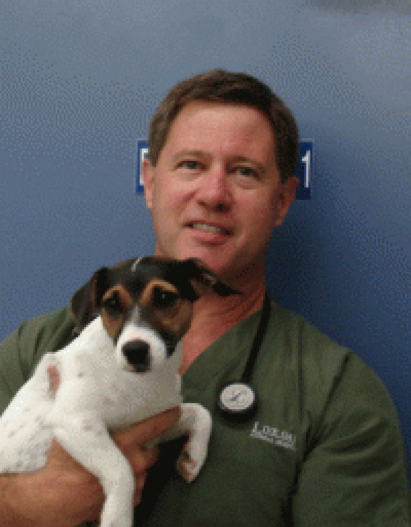 Dr. Charles Stewart DVM