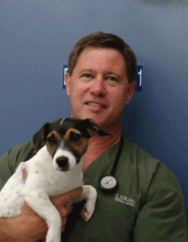 Dr. Charles Stewart DVM