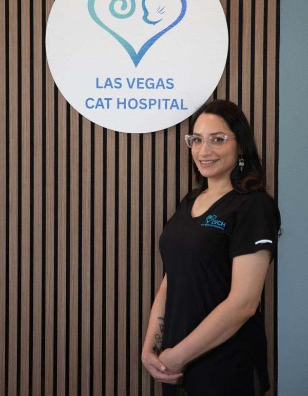 Cristy L Certified Vet Assistant