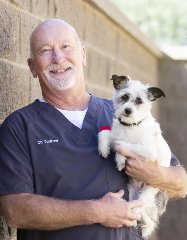 Randy Tedrow DVM