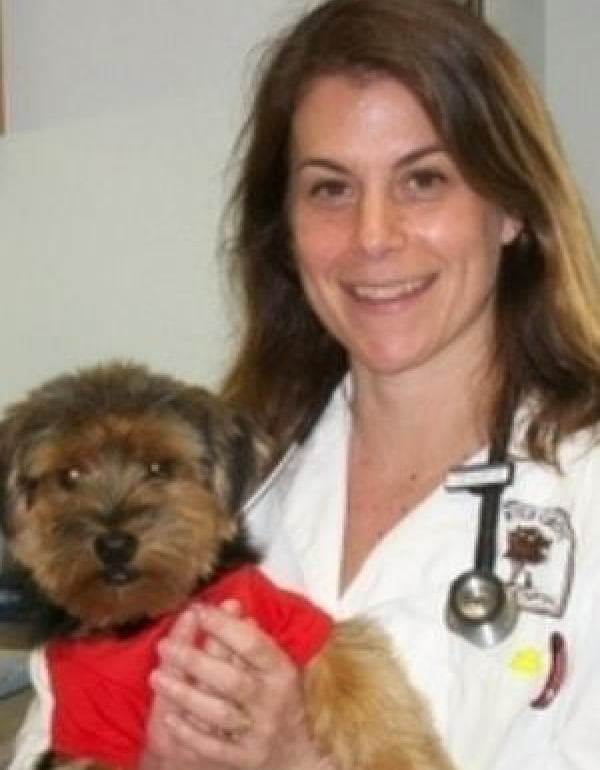 Debbie Bolz DVM, FFCP