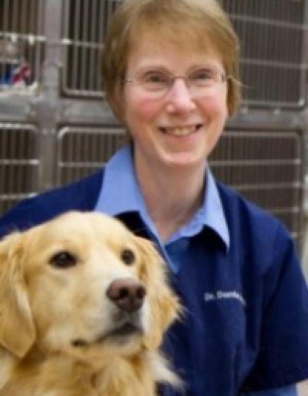 Dorrie Jordan DVM