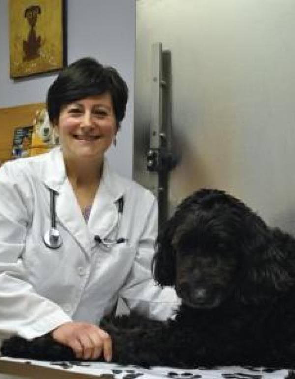 Jill Rosenblatt DVM
