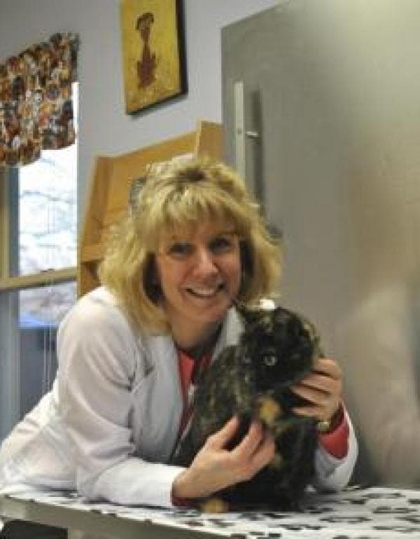 Michelle Bishop DVM, CCRP