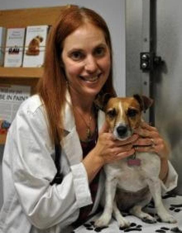 Wendy Zimmerman DVM, CVA, CCRP