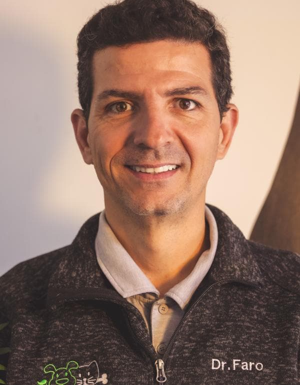 Andr&eacute; de Mattos Faro DVM