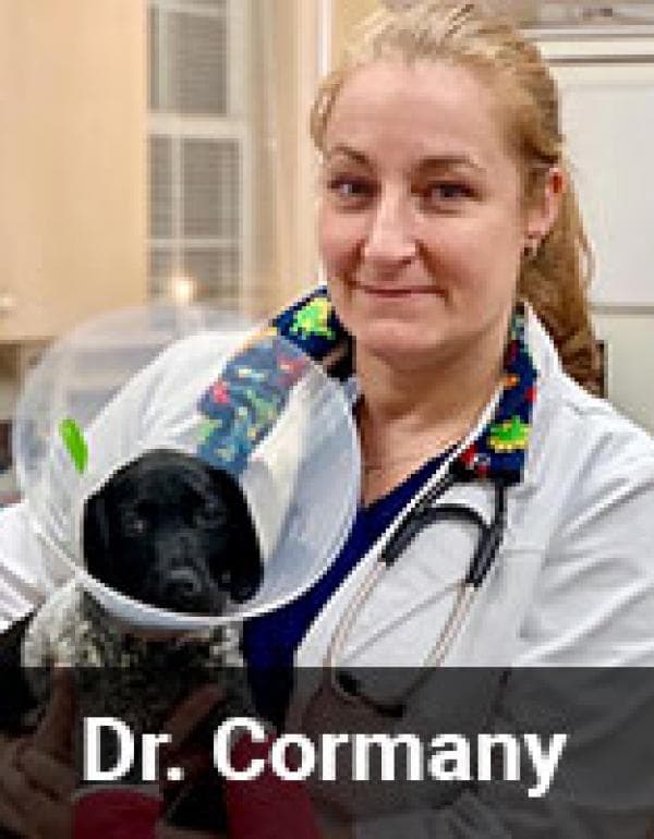 Heather Cormany DVM