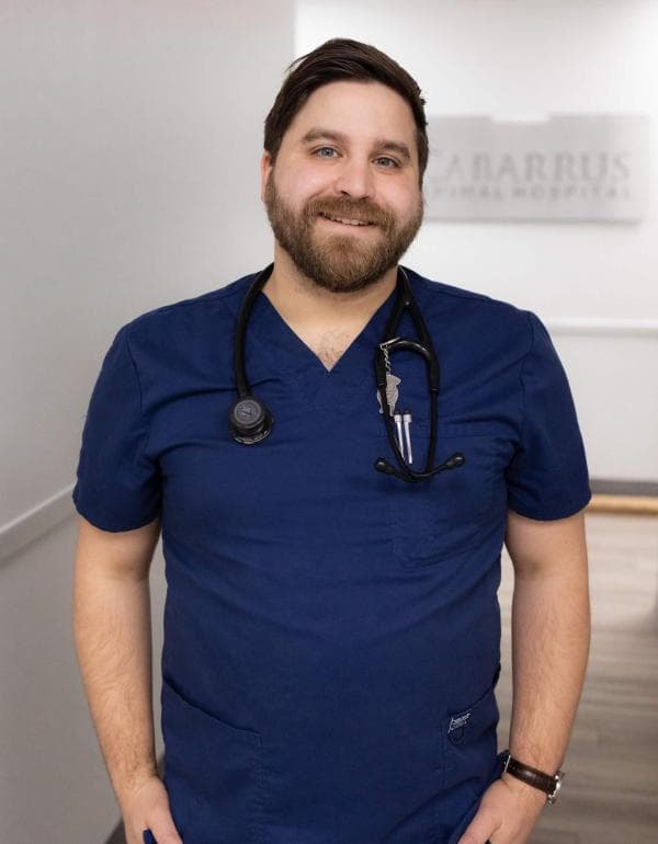 David Stevens DVM