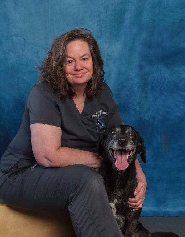 Brandy Doggett DVM