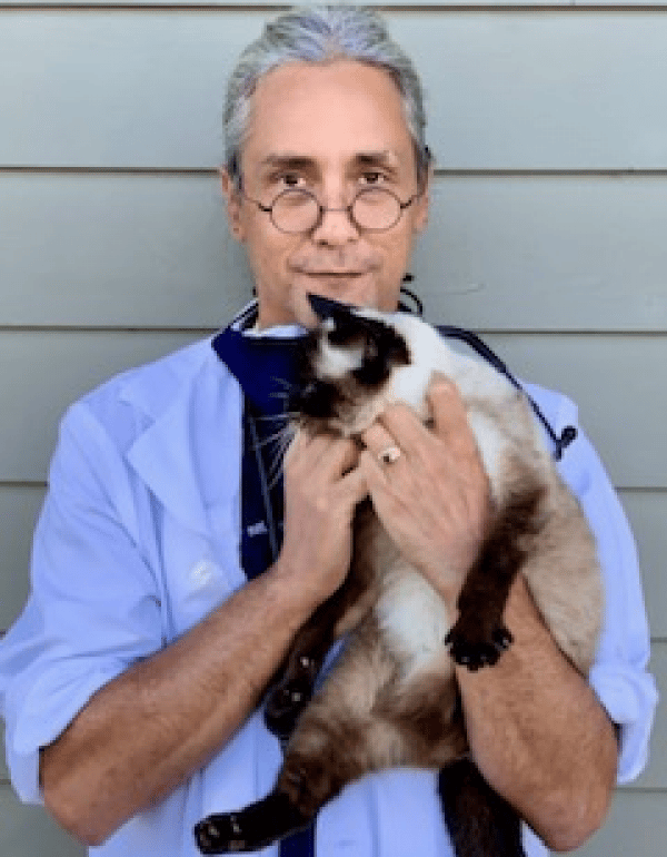Franklin Vincenzi DVM