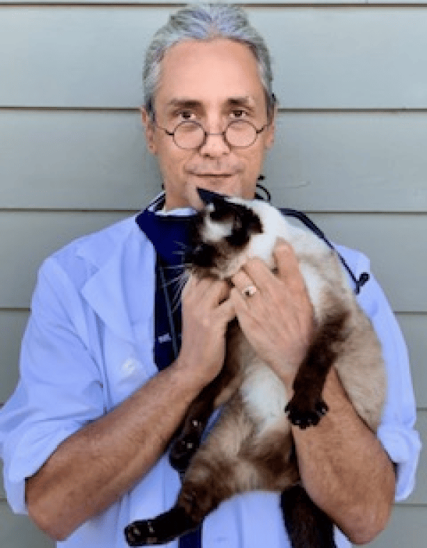 Franklin Vincenzi DVM