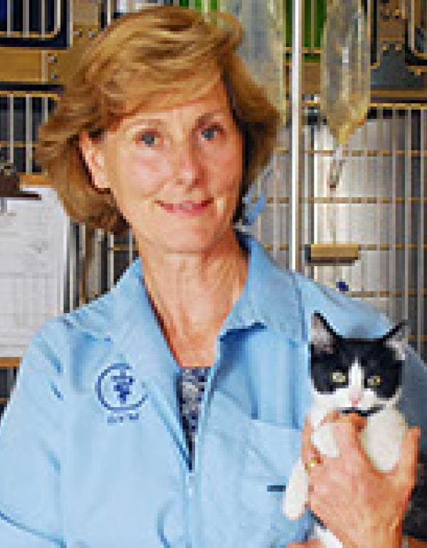 Lisa May Moran DVM