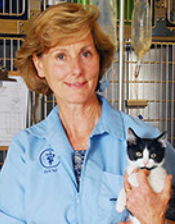 Lisa May Moran DVM