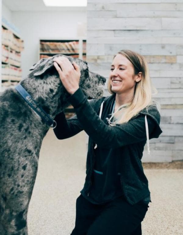 Molly Conrad DVM