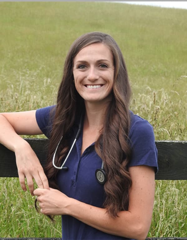 Hannah Plaugher DVM