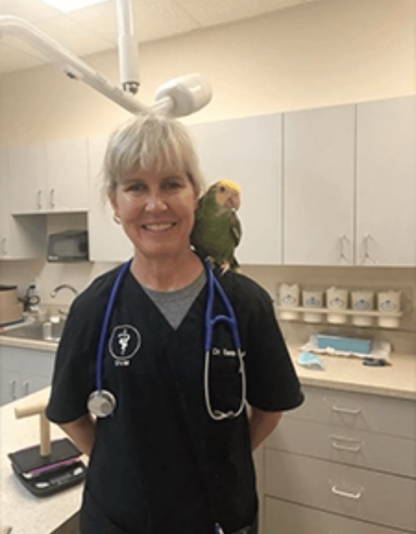 Sarah Guttery DVM