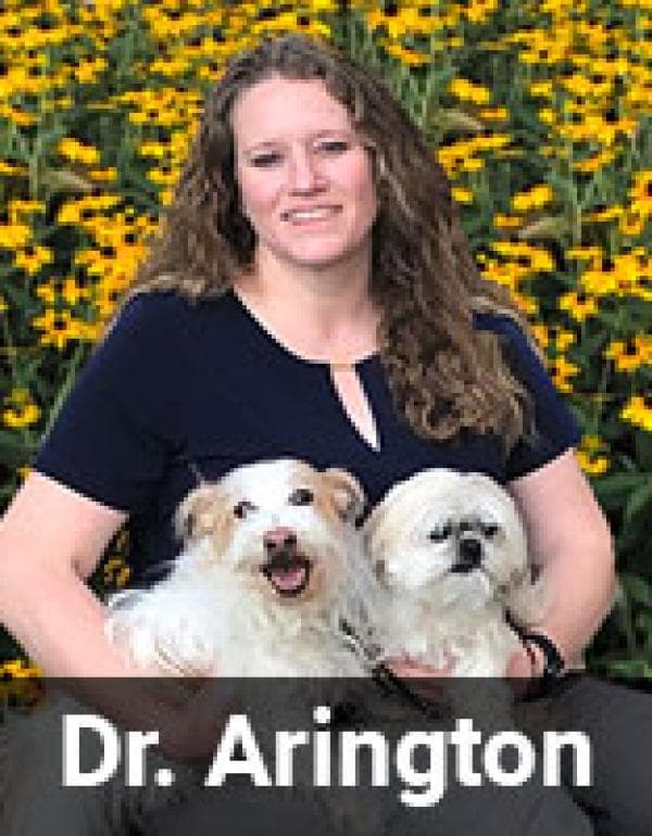 Laura Arington DVM