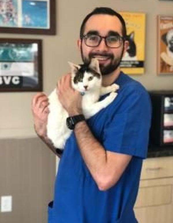 Greenwood Veterinary Care Brooklyn, NY