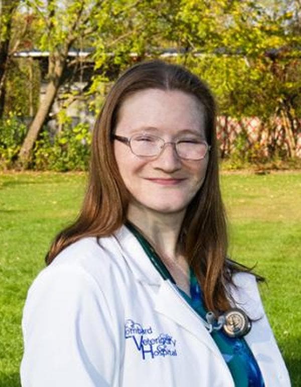 Stephanie Hulben DVM