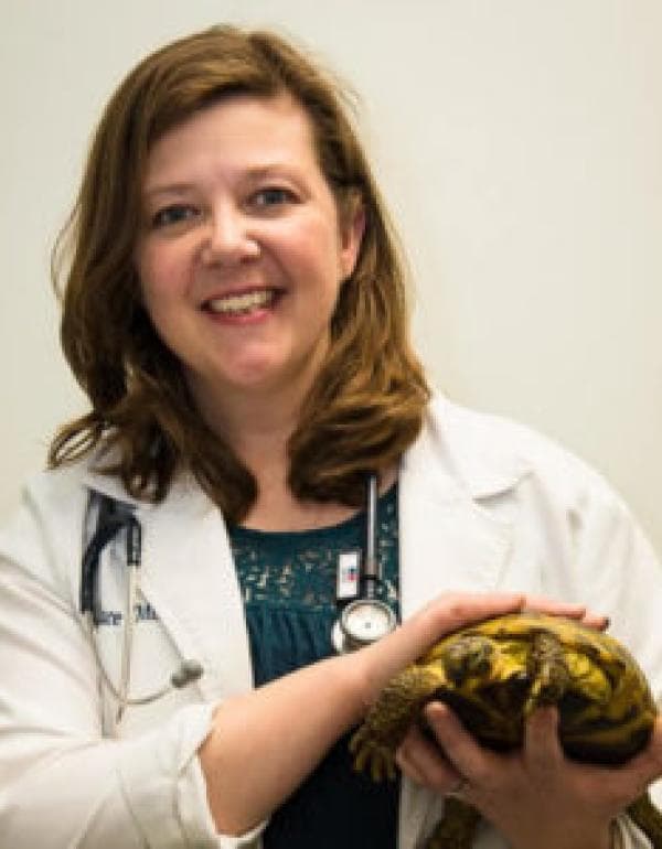 Mary Wallace VMD