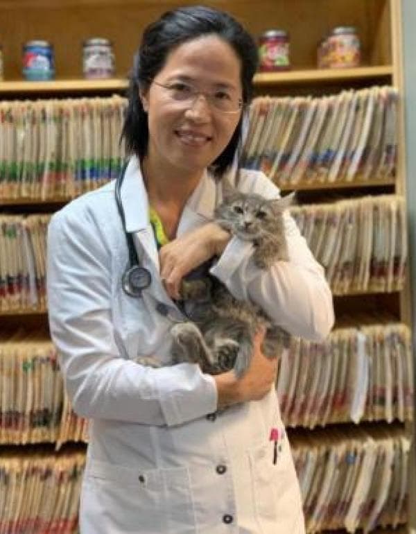 Dr. Young-eun Park DVM
