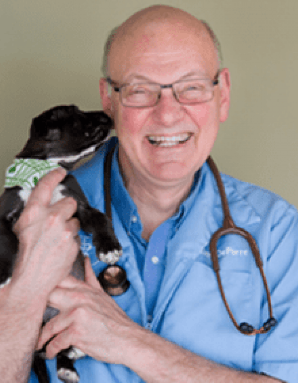 Jules DePorre Owner / DVM (Enjoying retirement since Sept 2021)