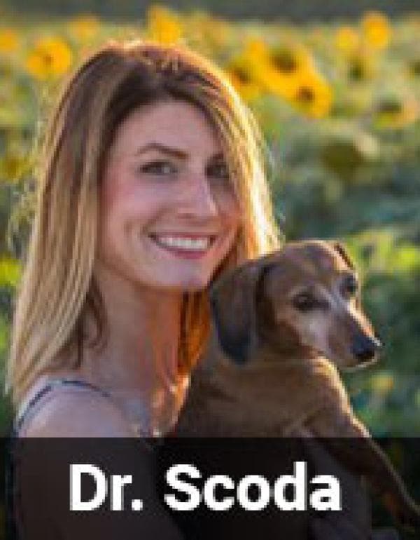 Colleen Scoda DVM