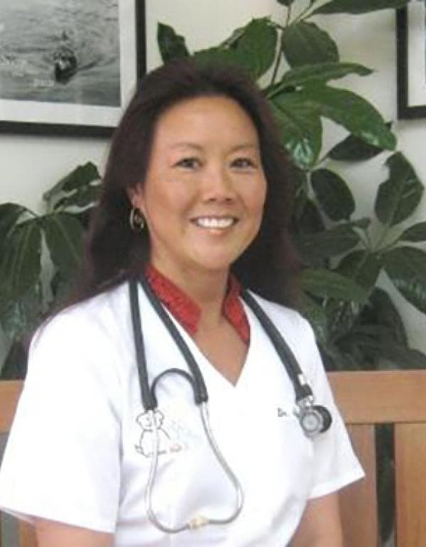 Dr. Ann Ichikawa DVM