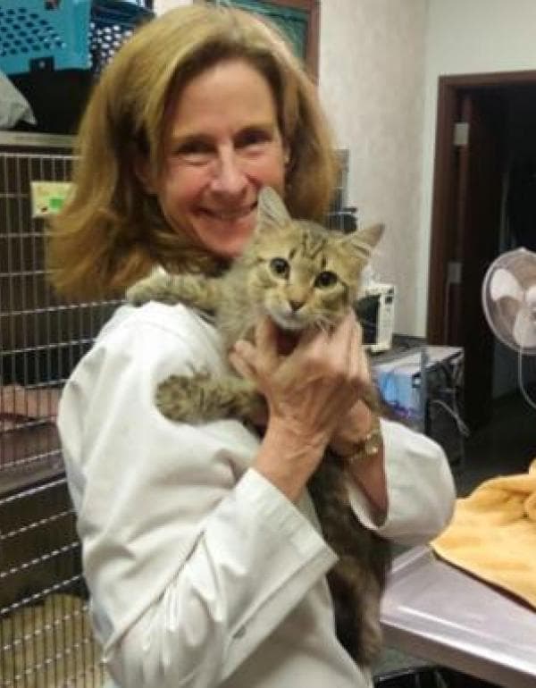 Dr. Sandra Stewart DVM