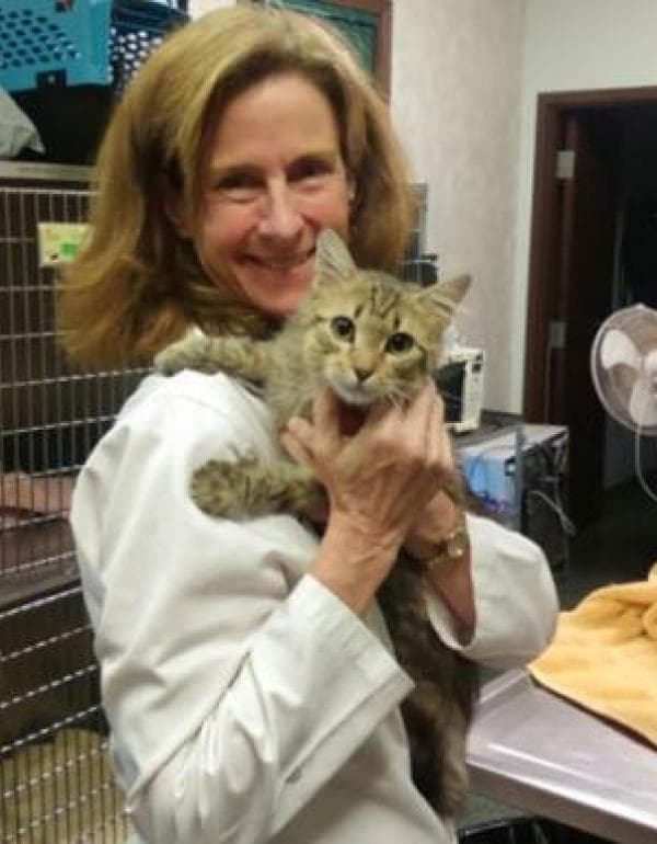 Dr. Sandra Stewart DVM