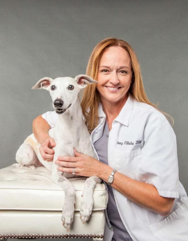 Dr. Stacy O&rsquo;Malley DVM