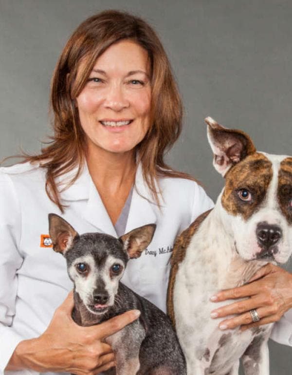 Dr. Tracy McAdoo DVM