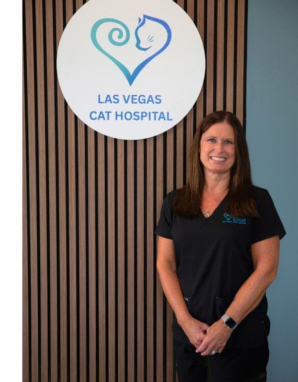 Jennifer S Lead License Veterinary Technician