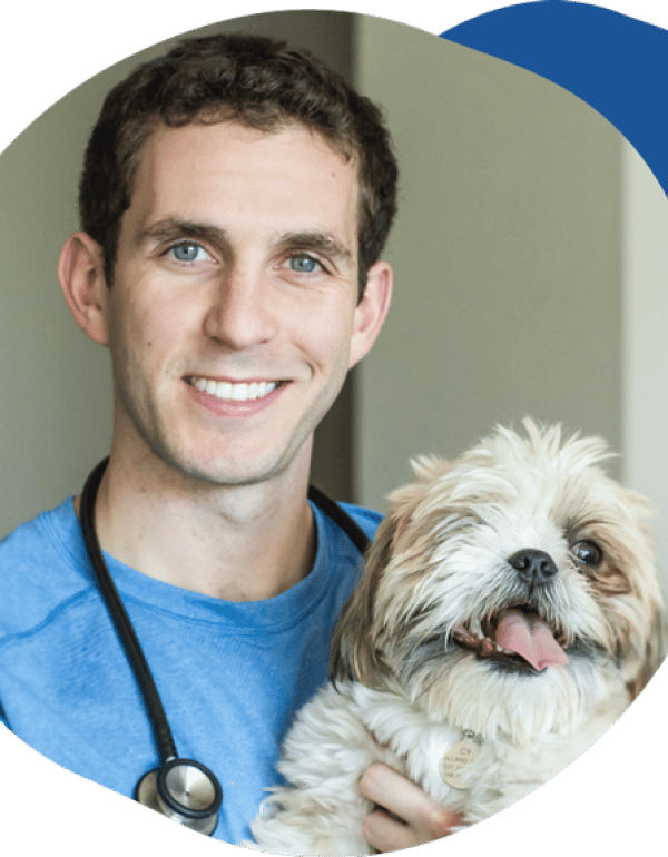 Alex Schechter DVM