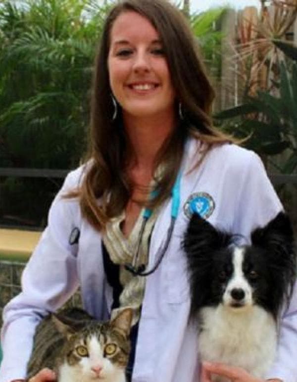 Dr. Amanda Johnston DVM